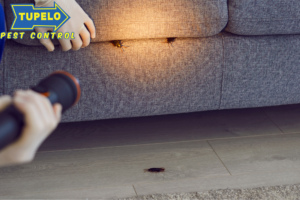 pest control new albany ms