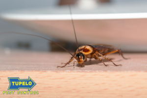 pest control