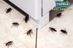 pest